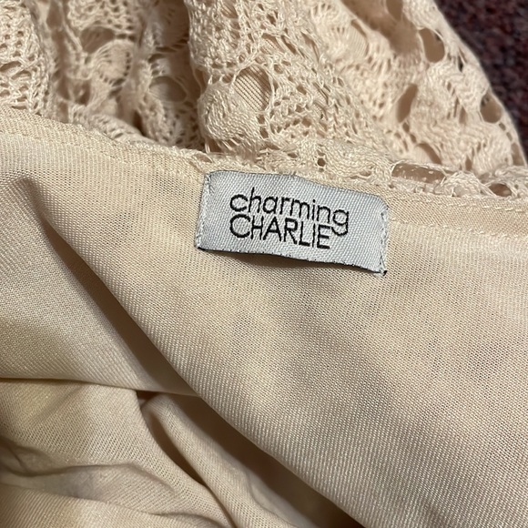 Charming Charlie dress - Picture 4 of 5